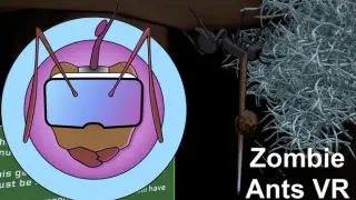 Zombie Ants VR Definitive Edition