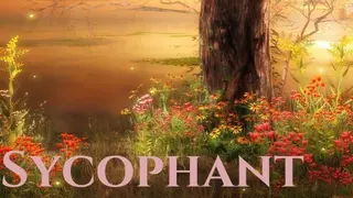 Sycophant