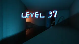 LEVEL 37