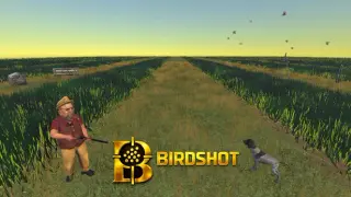 Birdshot