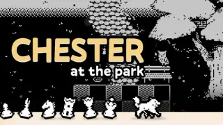 Chester at the Park