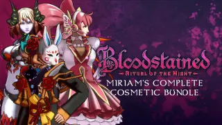 Miriam’s Complete Cosmetic Bundle - Switch