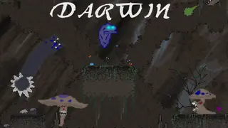 Darwin