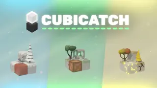 Cubicatch
