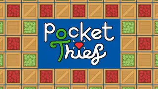 Pocket Thief