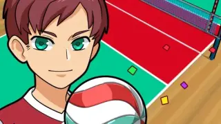 Desktop Volleyball - Switch