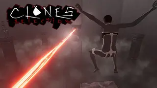 Clones Selection