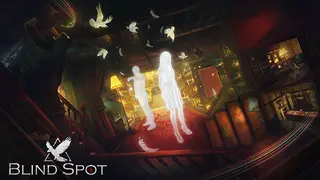 Blind Spot