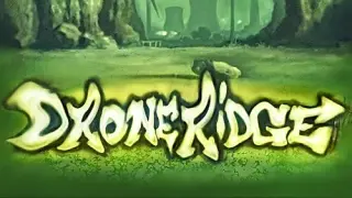 DroneRidge - Switch