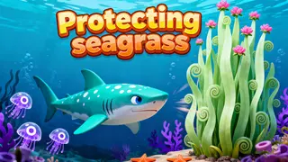 Protecting seagrass 保护海草
