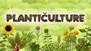 Planticulture