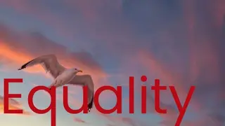 Equality