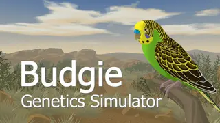 Budgie Genetics Simulator