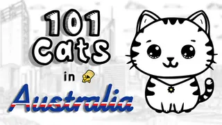 101 Cats in Australia