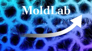 MoldLab