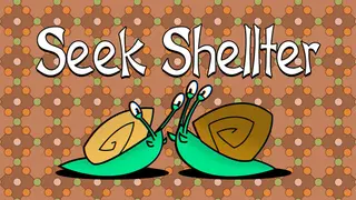Seek Shellter