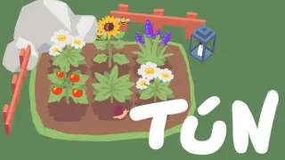 Tún