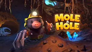 Mole a Hole