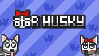 Mr Husky