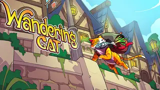 Wandering Cat