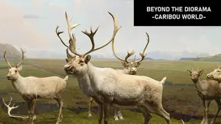 Beyond The Diorama: Caribou World