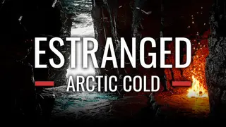 Estranged: Arctic Cold
