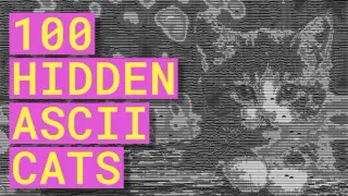 100 Hidden ASCII Cats