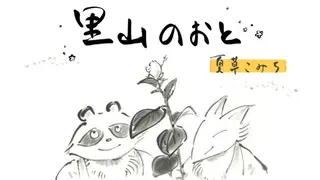 里山のおと 夏草こみち