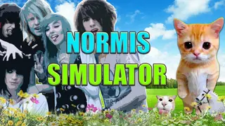 Normis Simulator