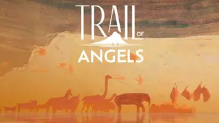 Trail of Angels