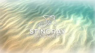 Stingray Sanctuary