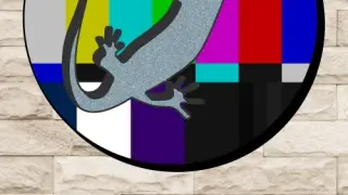 Salamander County Public Television - Switch