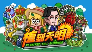 ζ€ε°ε€©ζ Planted Till Sunrise