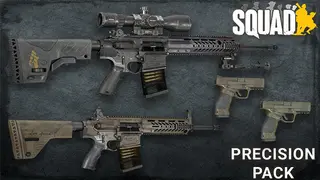 Squad Weapon Skins - Precision Strike Pack