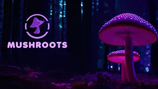 Mushroots