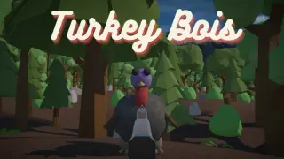 Turkey Bois