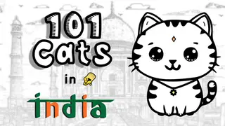 101 Cats in India