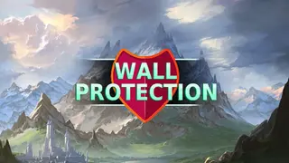 Wall protection