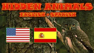 Hidden Animals: English - Spanish