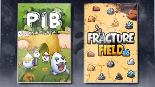 Pibcremental & Fracture Field