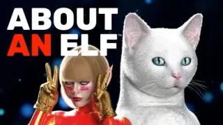 About an Elf - Switch