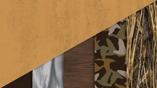 theHunter: Call of the Wild - Revontuli Coast Cosmetic Pack - PS4
