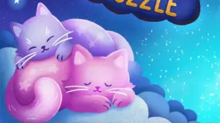 Cat Cosmic Puzzle - Switch