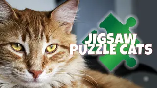 Jigsaw Puzzle Cats - Xbox One