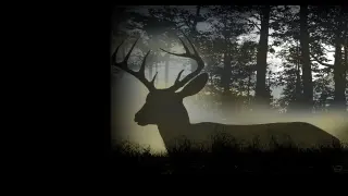Deer Hunting Camp - PS5