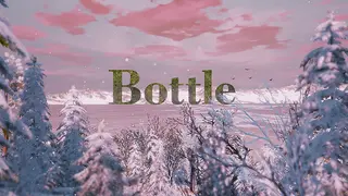 Bottle