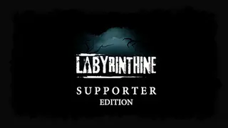 Labyrinthine Supporter