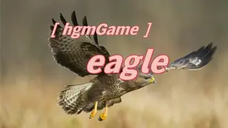 hgmGame-eagle