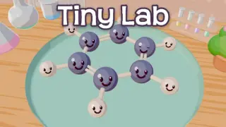 Tiny Lab