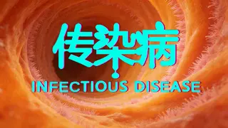 传染病/Infectious Disease